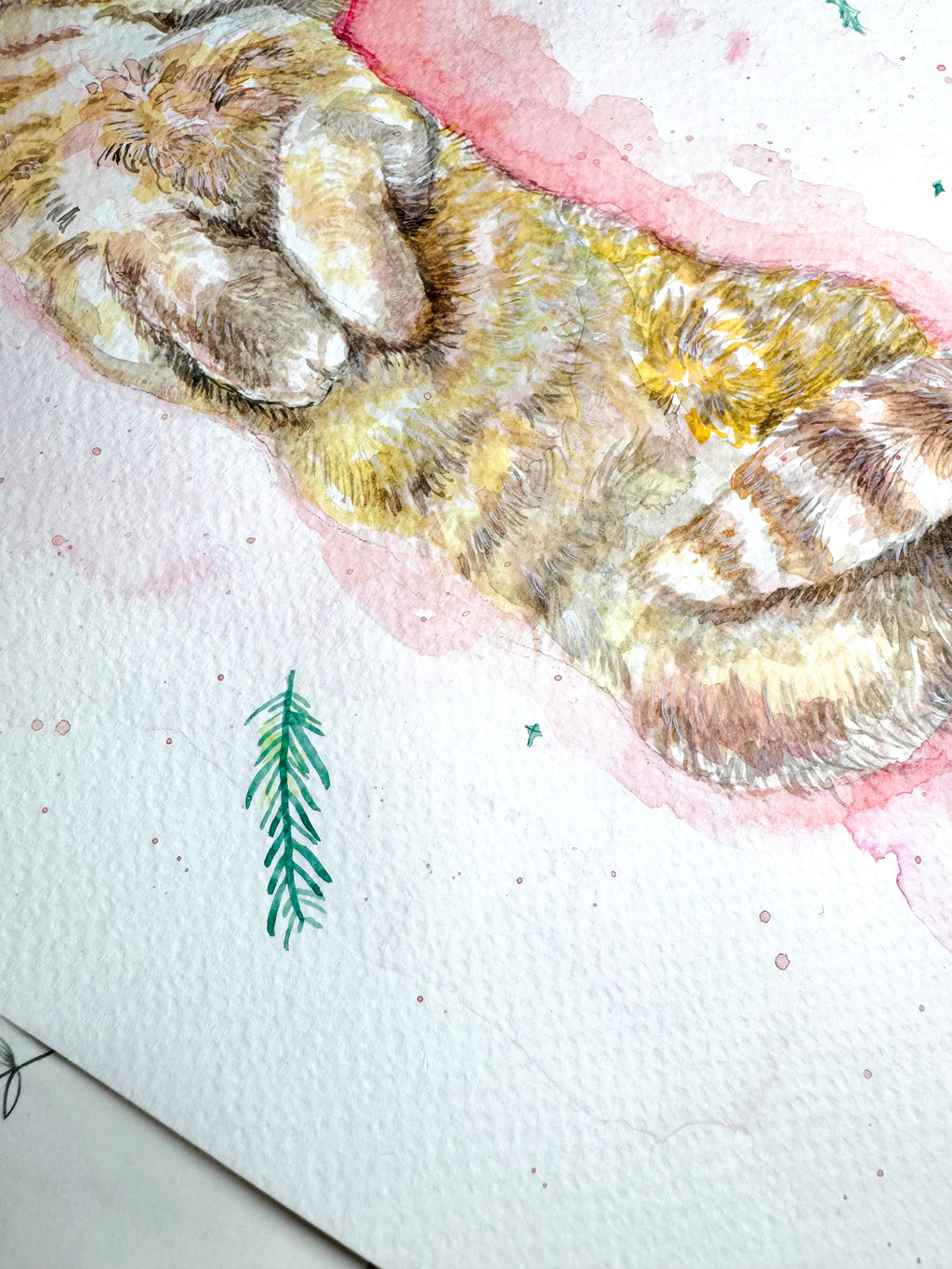 Christmas Catnap - A4 Watercolour Original Painting